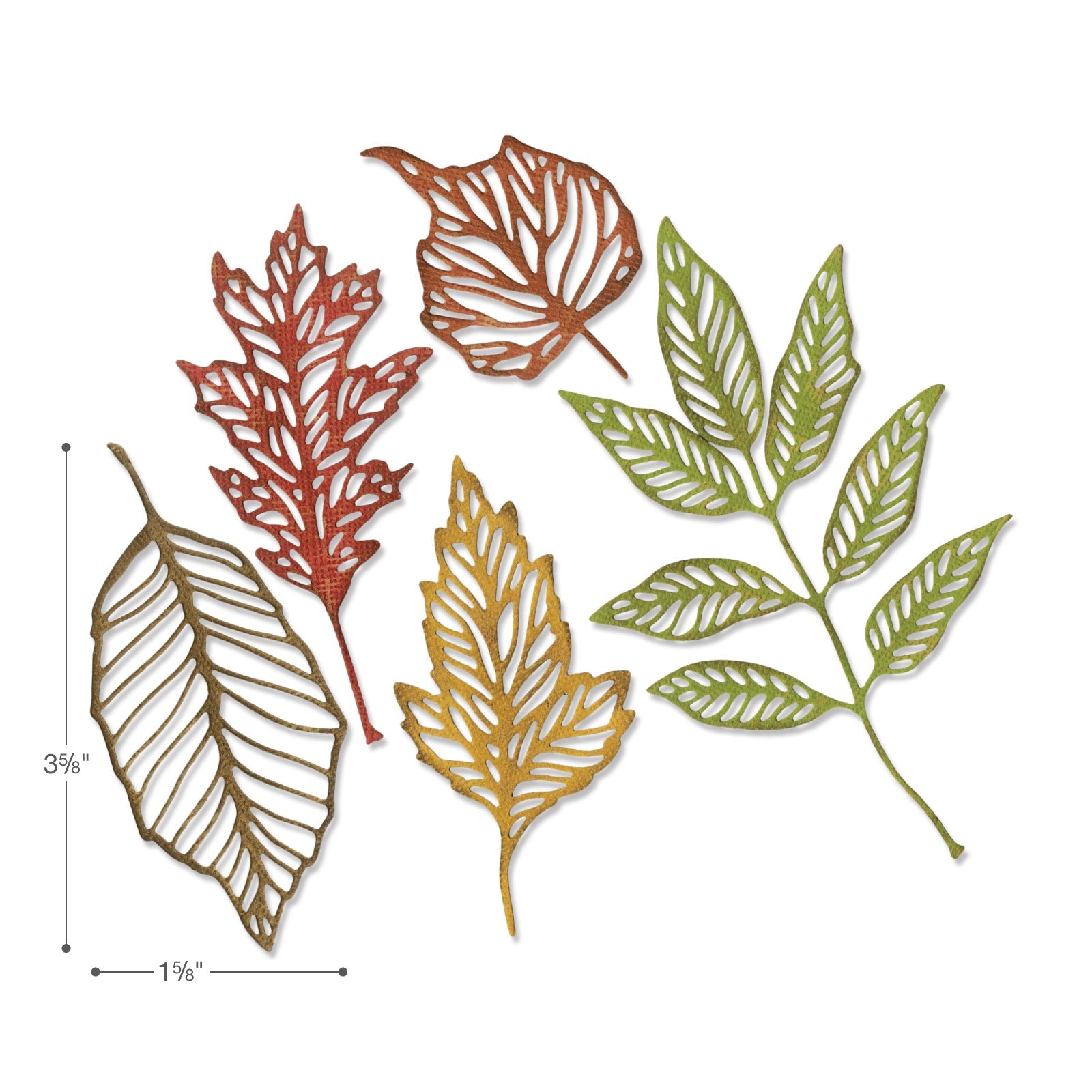 Sizzix Thinlits Die Set 5PK - Skeleton Leaves by Tim Holtz