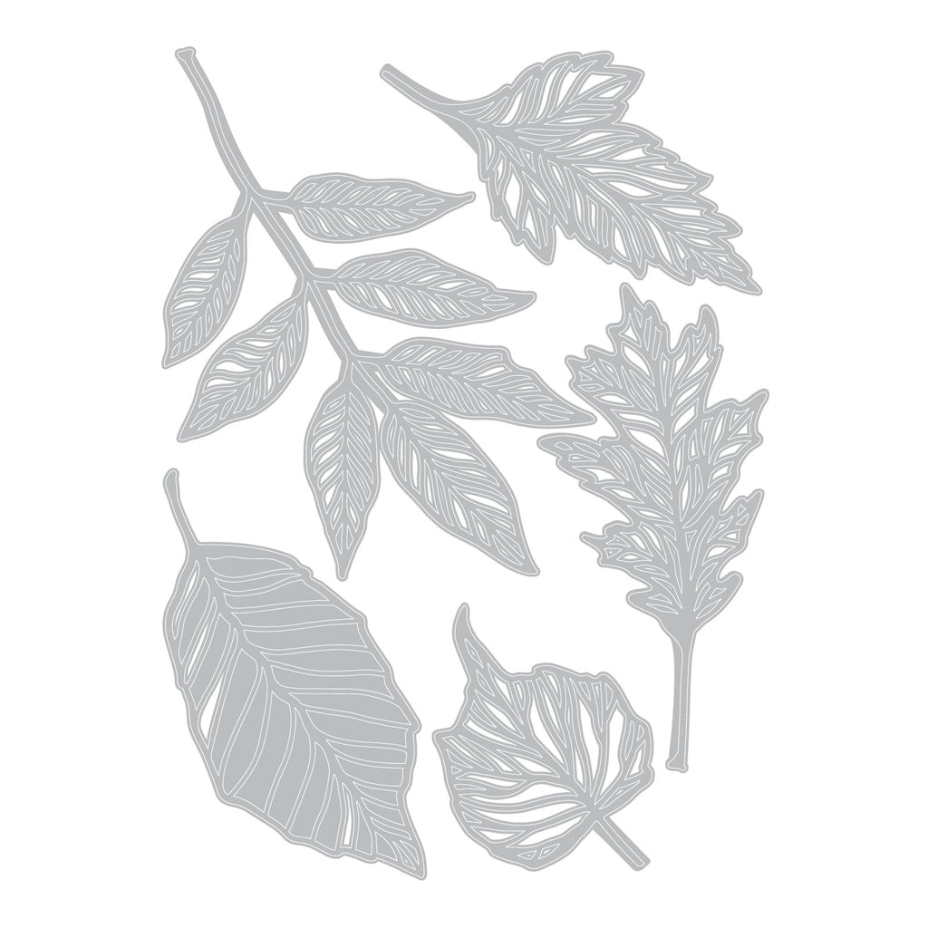 Sizzix Thinlits Die Set 5PK - Skeleton Leaves by Tim Holtz