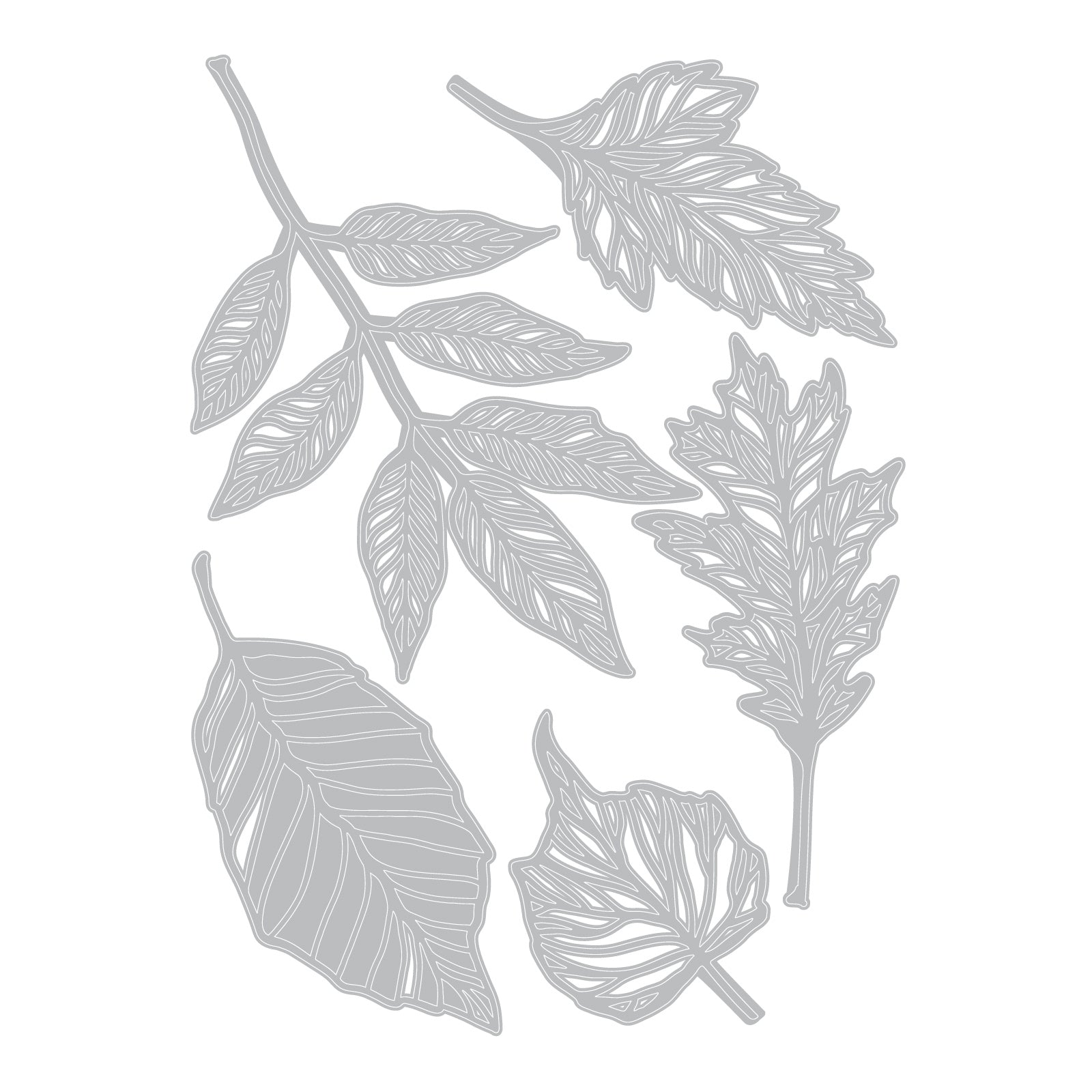 Sizzix Thinlits Die Set 5PK - Skeleton Leaves by Tim Holtz