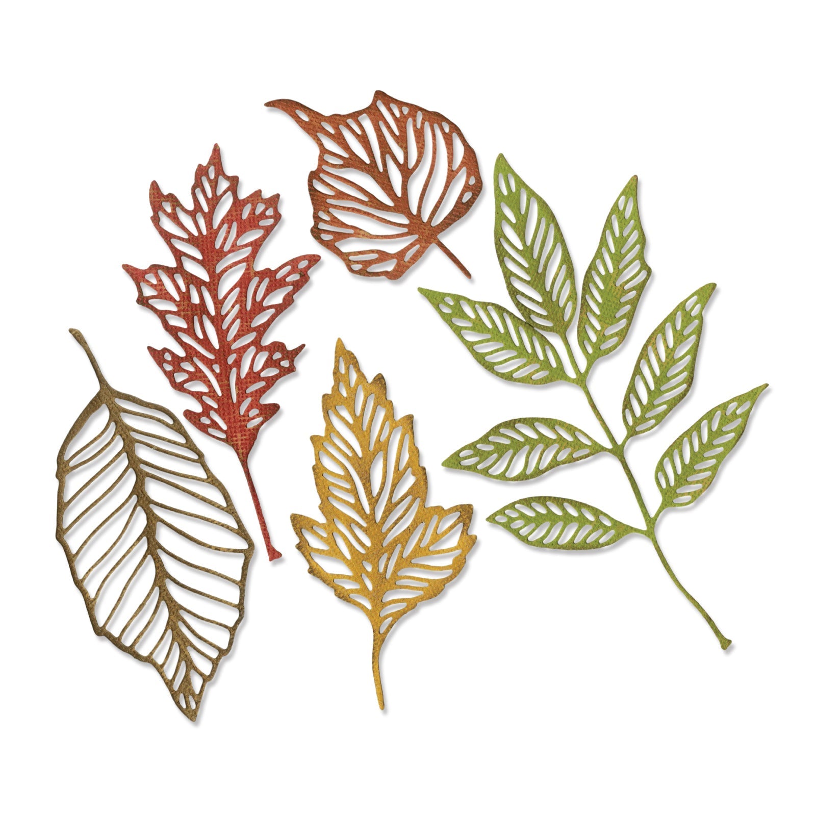 Sizzix Thinlits Die Set 5PK - Skeleton Leaves by Tim Holtz