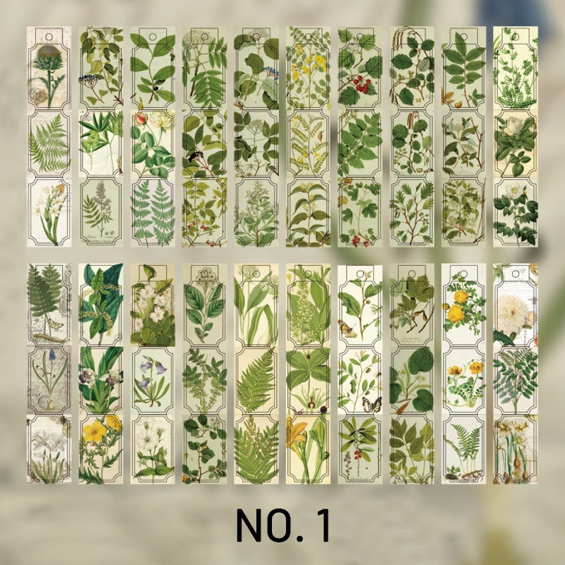 Vintage Plant Long Strip Boxed Sticker